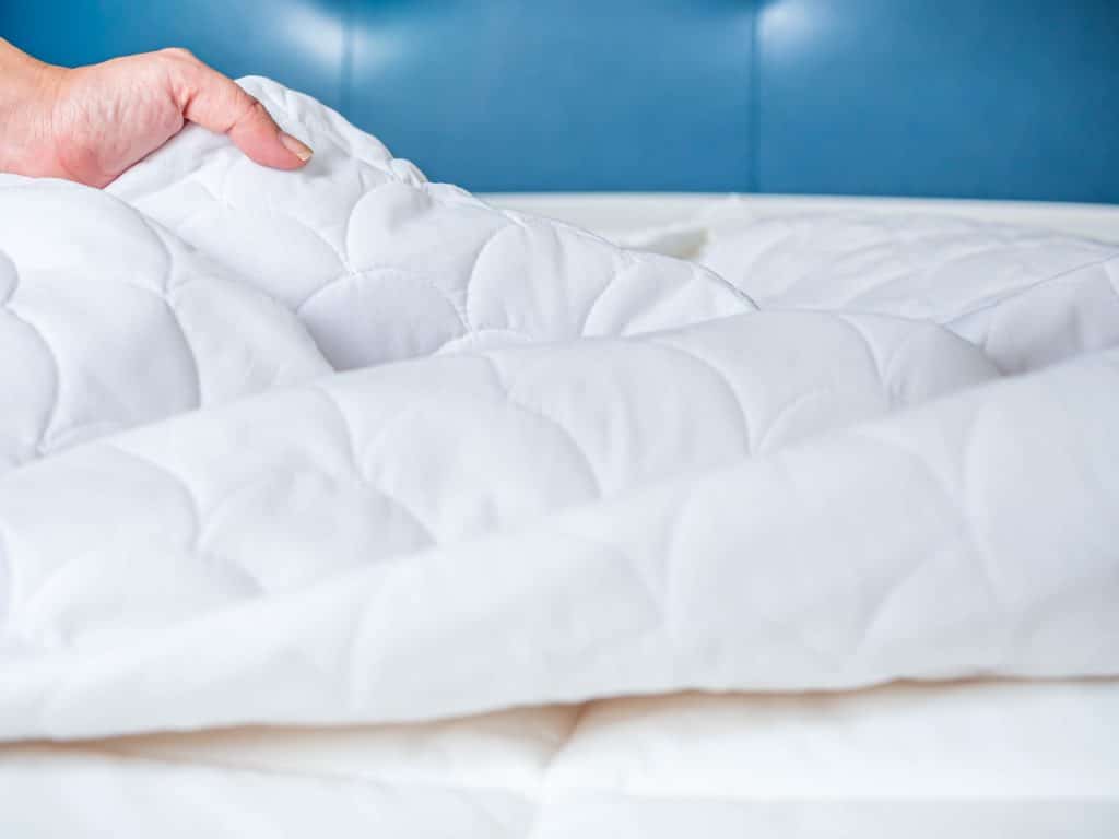 Comment se débarrasser des punaises de lit rapidement ?